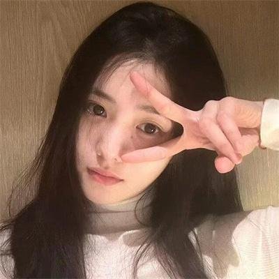 小犬与女孩